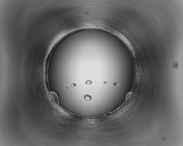 X0000100351096200806130946