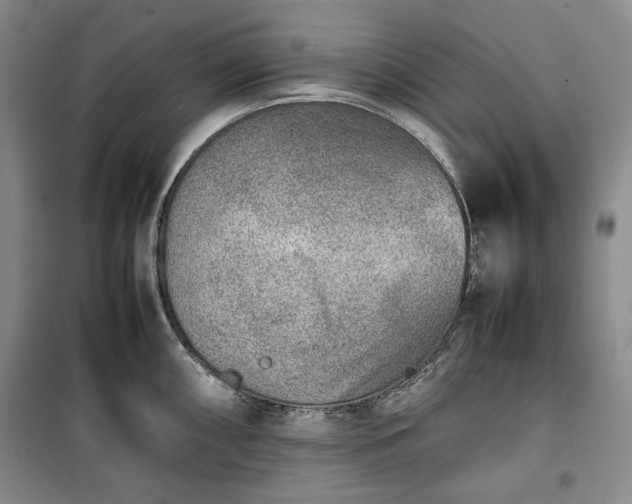 X0000100351098200806130946
