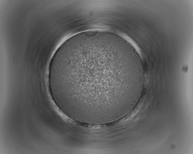 X0000100351099200806130946