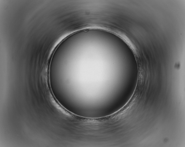X0000100351100200806130946