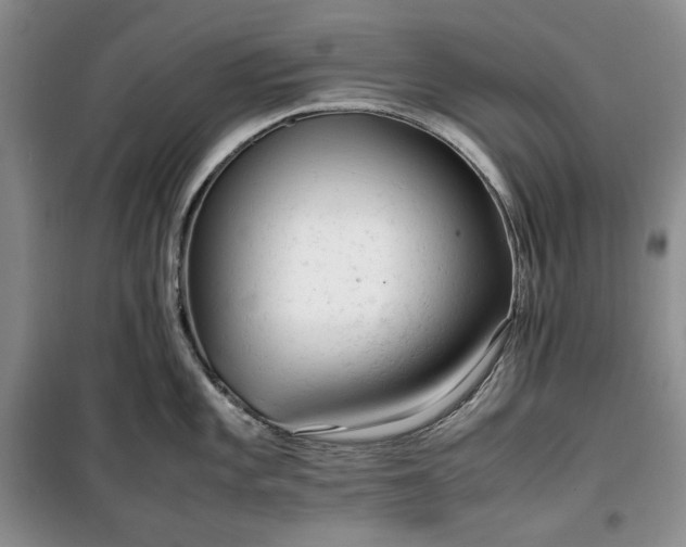 X0000100351101200806130946