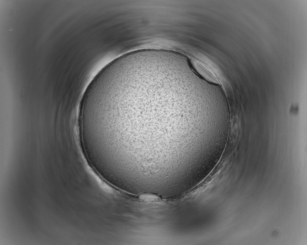 X0000100351103200806130946
