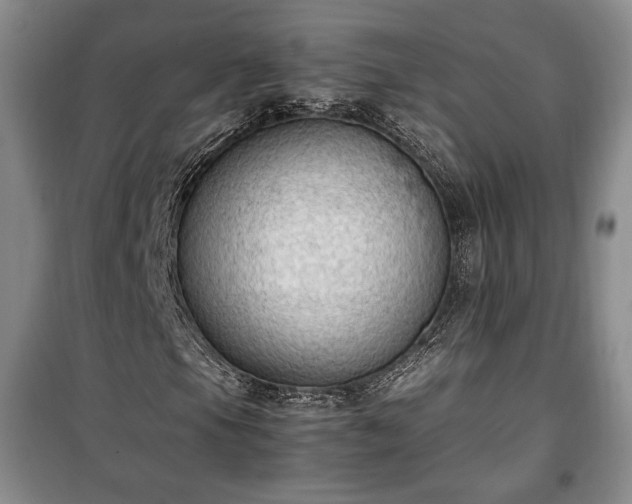X0000100351105200806130946