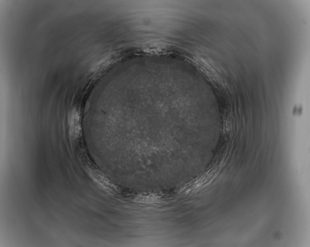 X0000100351106200806130946