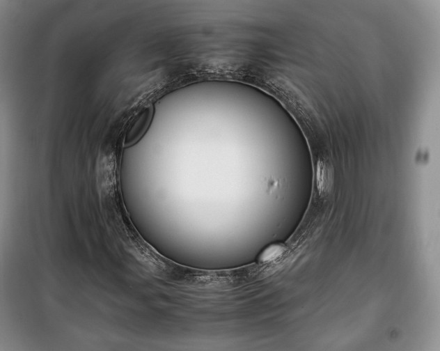 X0000100351107200806130946