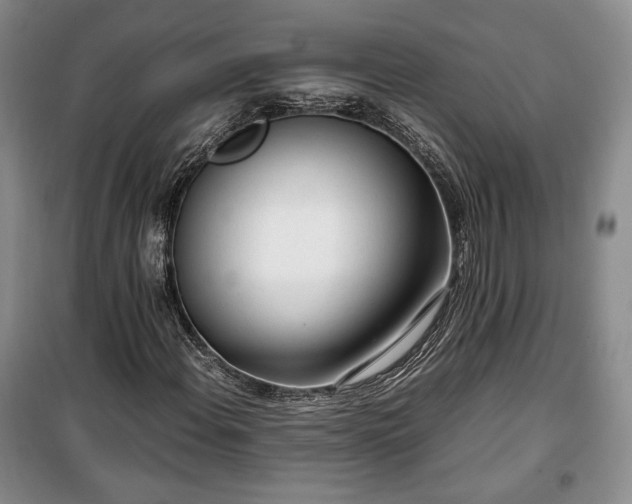 X0000100351108200806130946