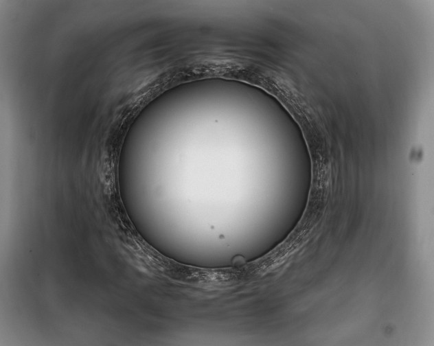 X0000100351109200806130946