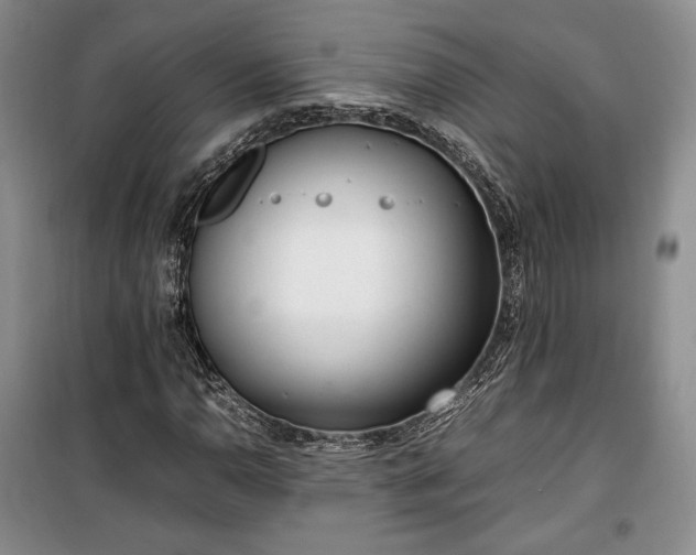 X0000100351110200806130946
