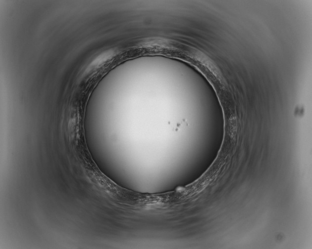 X0000100351111200806130946