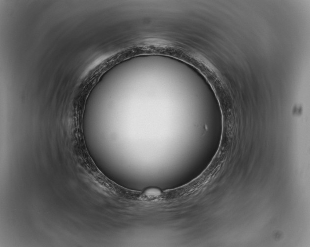 X0000100351112200806130946