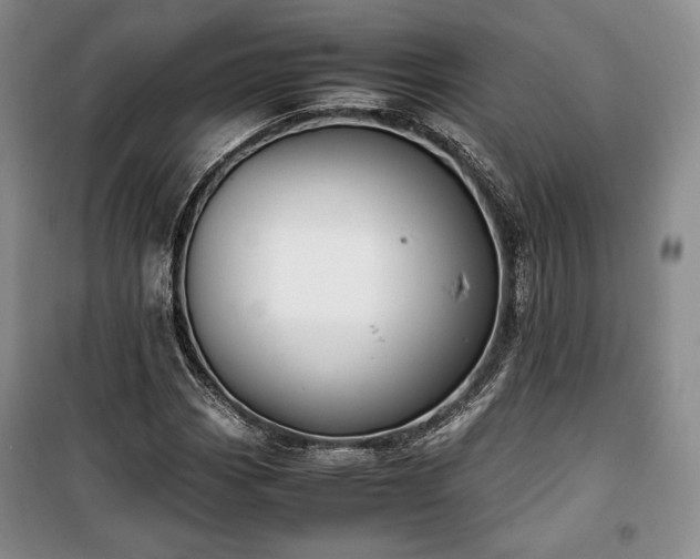 X0000100351113200806130946