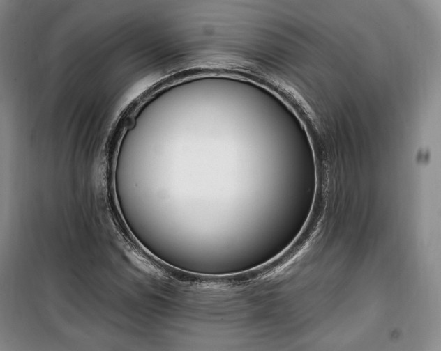 X0000100351114200806130946