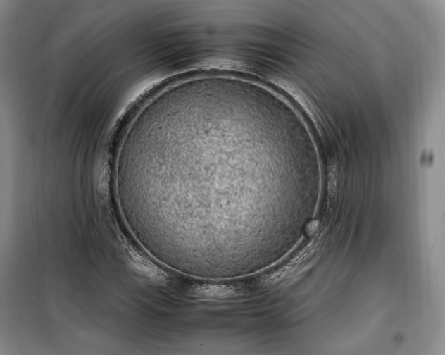 X0000100351115200806130946