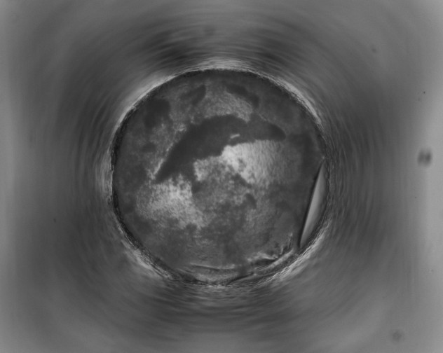 X0000100351117200806130946