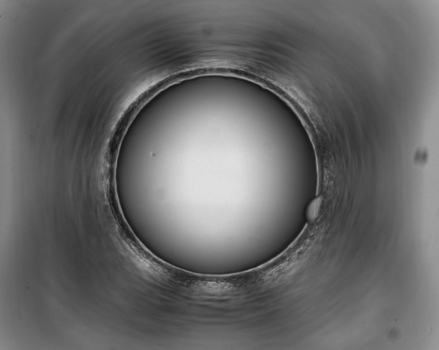 X0000100351119200806130946