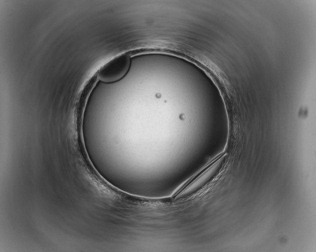 X0000100351120200806130946