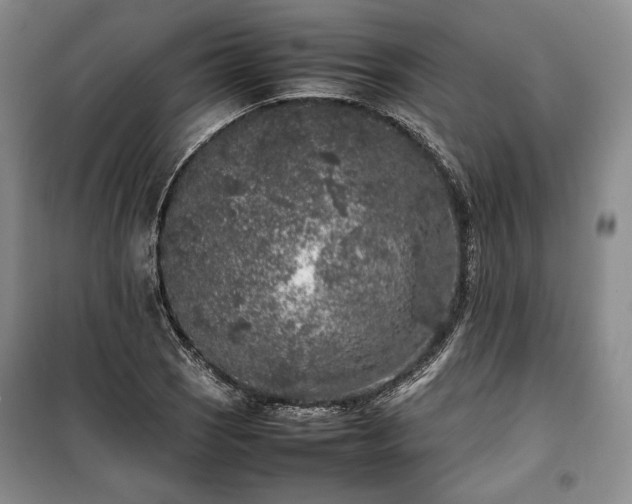 X0000100351121200806130946