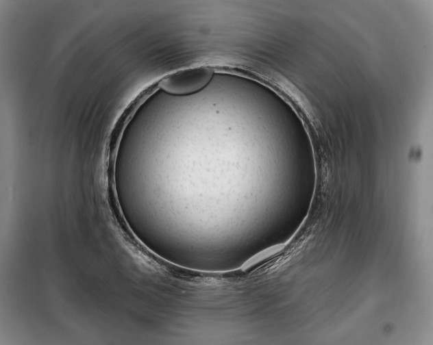 X0000100351124200806130946