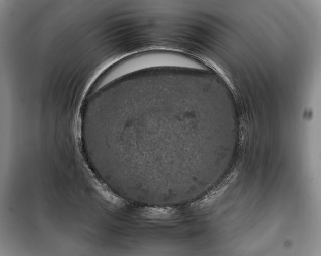 X0000100351125200806130946