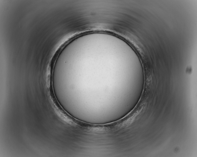 X0000100351126200806130946