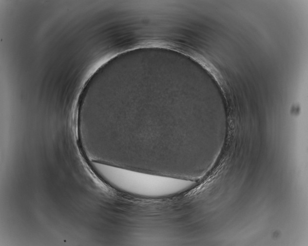 X0000100351127200806130946
