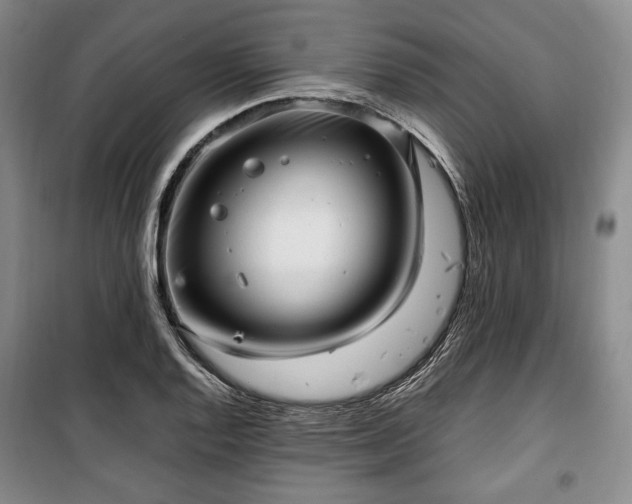 X0000100351128200806130946