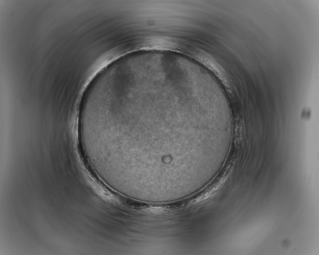 X0000100351130200806130946
