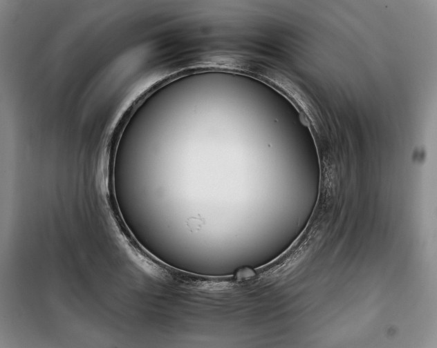X0000100351131200806130946
