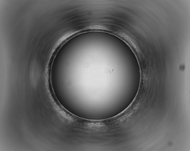 X0000100351133200806130946