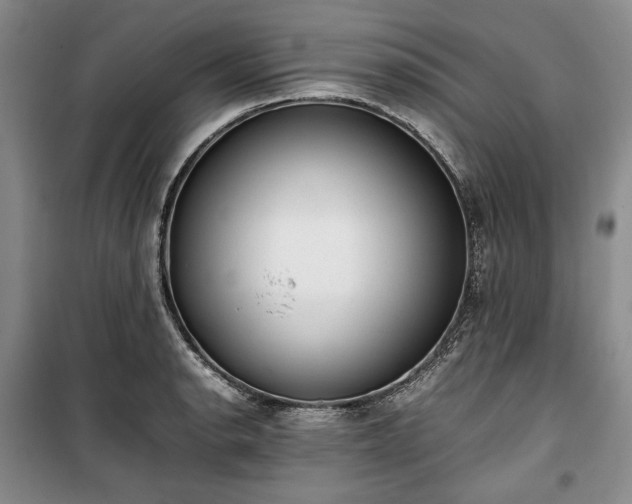 X0000100351134200806130946