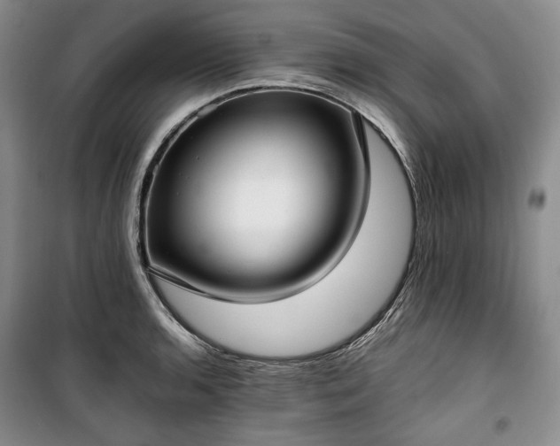 X0000100351136200806130946