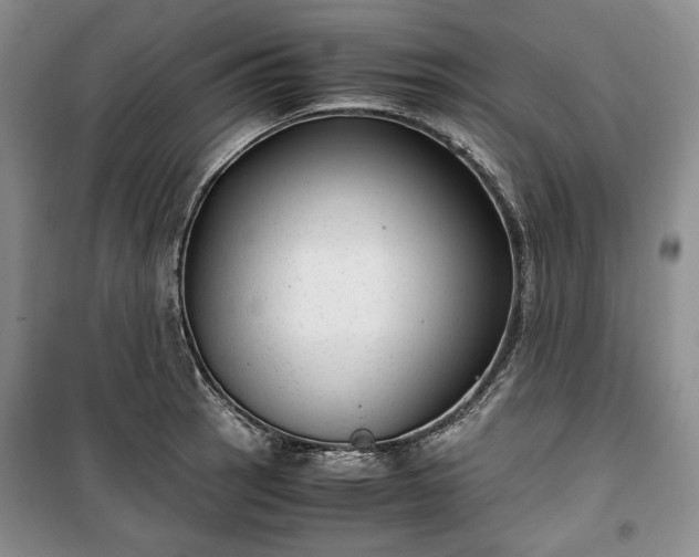 X0000100351137200806130946