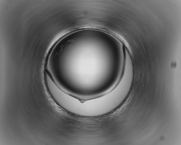 X0000100351138200806130946