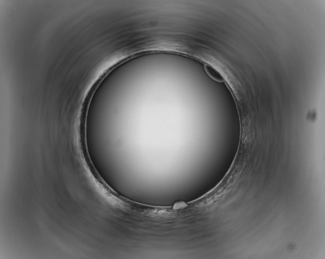 X0000100351139200806130946
