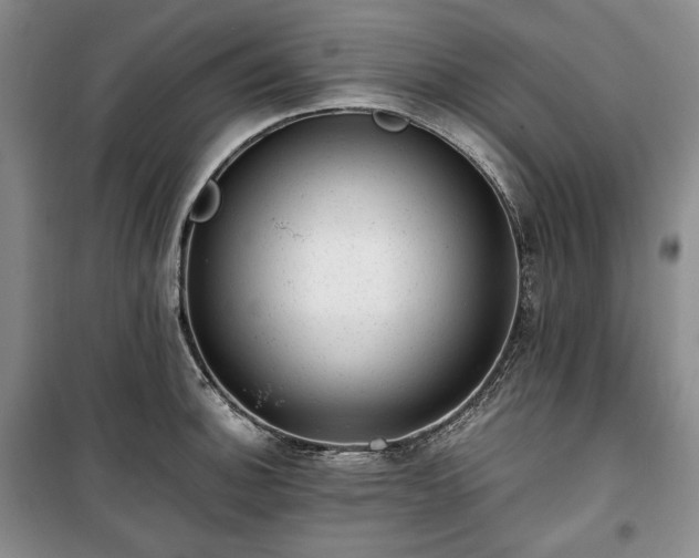 X0000100351140200806130946