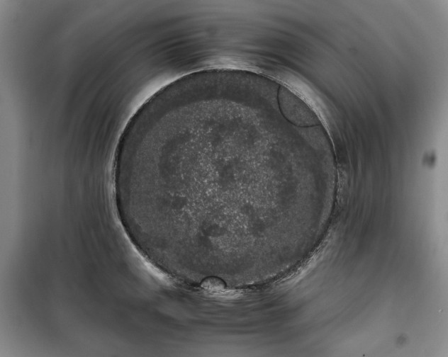 X0000100351141200806130946