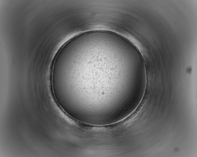 X0000100351142200806130946