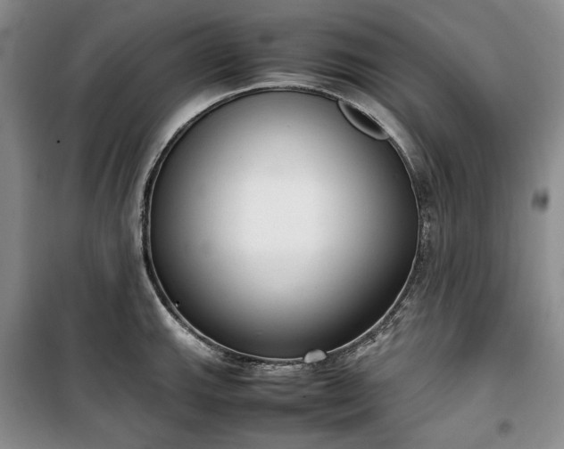 X0000100351143200806130946