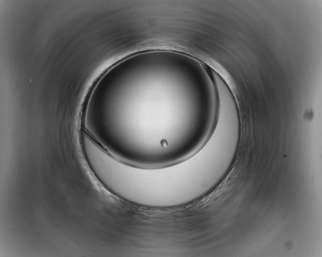 X0000100351144200806130946