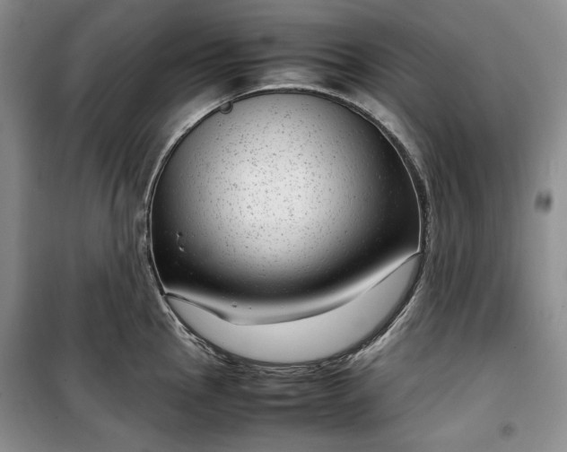 X0000100351145200806130946