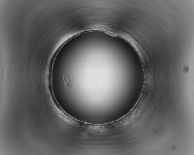 X0000100351147200806130946