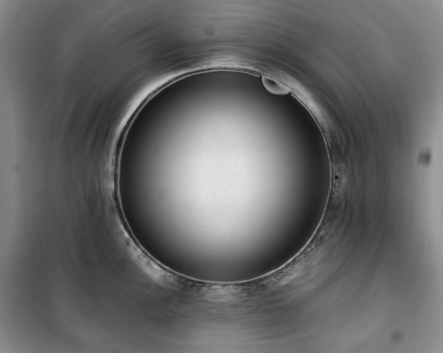 X0000100351148200806130946
