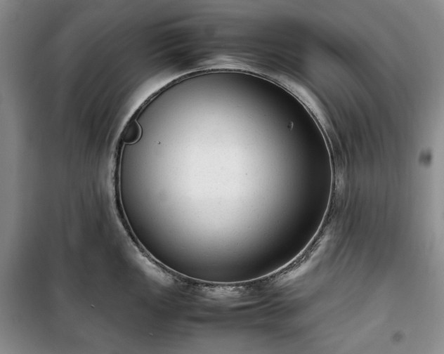 X0000100351149200806130946