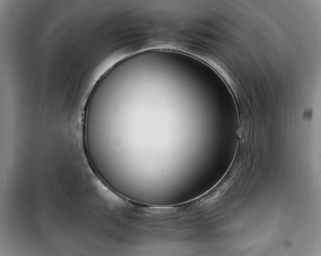 X0000100351151200806130946