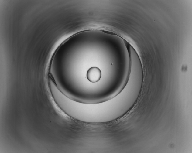 X0000100351152200806130946
