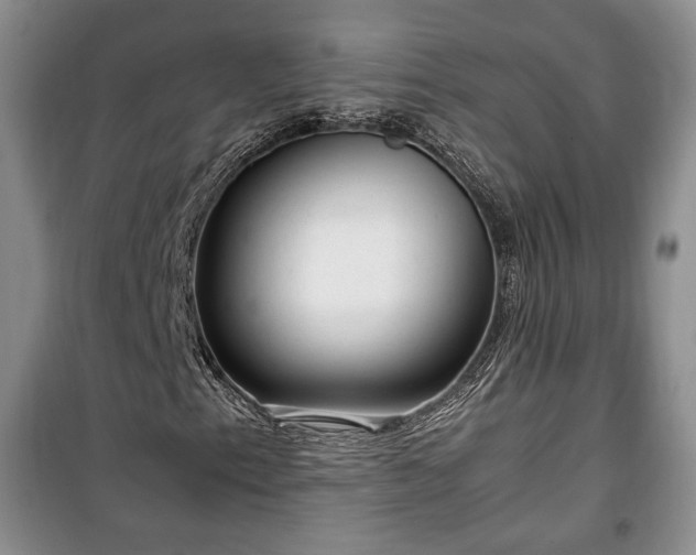 X0000100351153200806130946