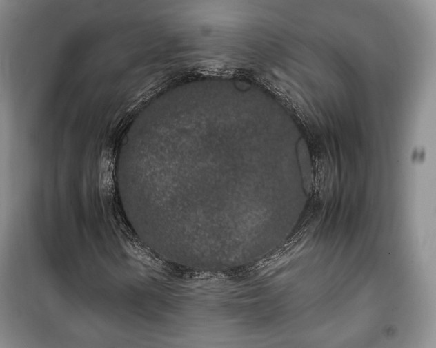 X0000100351154200806130946