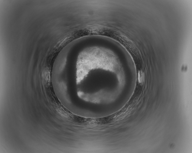 X0000100351155200806130946
