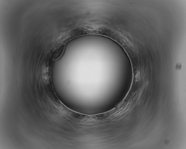 X0000100351156200806130946