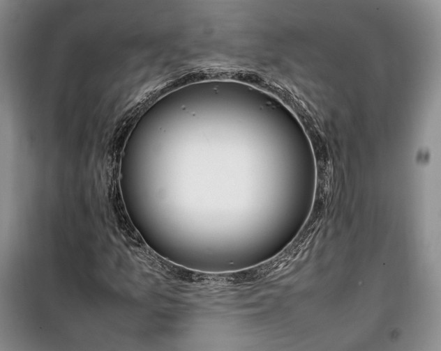 X0000100351157200806130946